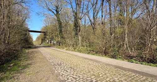 Roubaix 2026 : la trouée d’Arenberg sera praticable malgré les dégâts provoqués par les sangliers