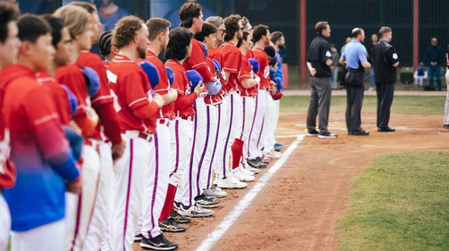 Baseball / DBL: Volles Programm am Tag der Arbeit im Süden - 1.000er-Jubiläum in Hamburg