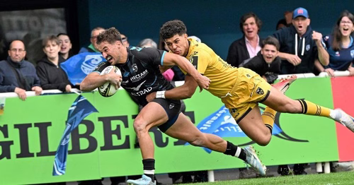 Finale de Challenge Cup : Montpellier veut soulever la coupe face à l'Ulster