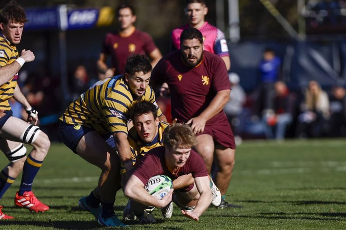 Desparejo Top 14: qué tienen los cuatro mejores para sacar tanta ventaja sobre el resto