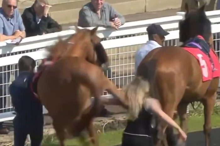 Una mujer recibió una brutal patada de un caballo durante una carrera en un hipódromo de Reino Unido
