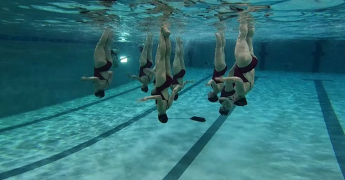 Mamans et médaillées de natation artistique, elles visent les championnats de France : "on se débrouille bien"