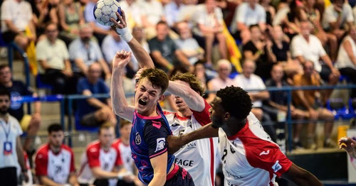 ProLigue : le Pau Billère Handball s'arrête en demi