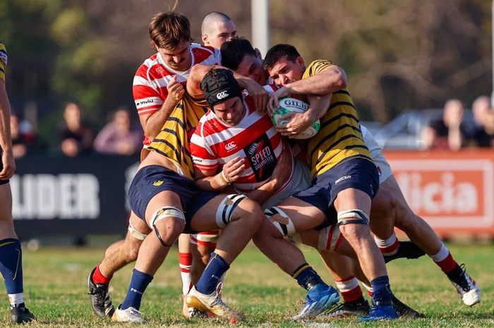 Alumni superó a Regatas Bella Vista, crece, espera más regresos y se acerca a los de arriba en el Top 14