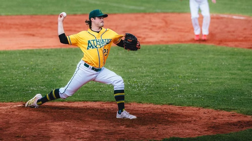 Baseball / DBL: No-Hitter in Mainz – wichtige Siege für Bonn und Regensburg