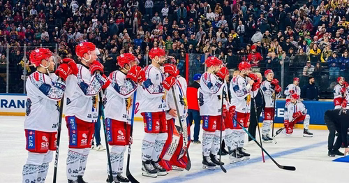 Ligue Magnus : Treille prolonge à Grenoble, un calendrier costaud pour les Brûleurs de Loups à la reprise