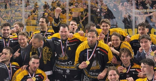 Recrues, budget en hausse, marketing : les Dragons de Rouen montrent les crocs