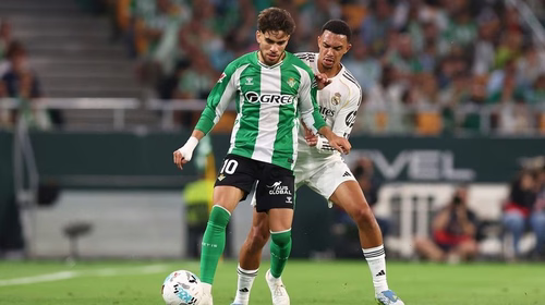 Nach verpasstem Munoz-Deal: Diesen Angreifer hat Newcastle im Blick