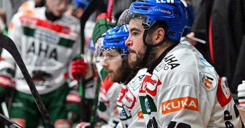 "Référence du hockey" et "renfort de poids" : les Dragons de Rouen signent deux recrues prometteuses