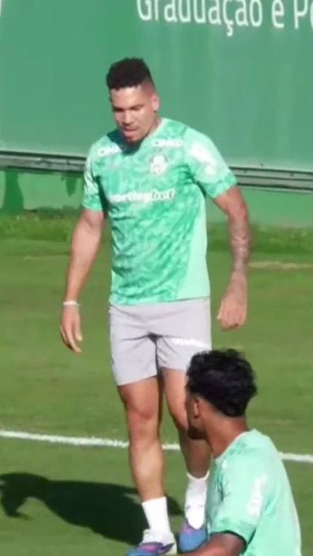 Paulinho Palmeiras: refratura no Mundial e retorno aos gramados