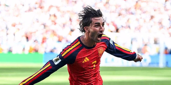 Und dann sorgte Torres für die Erlösung: Das WM-Finale in Bildern