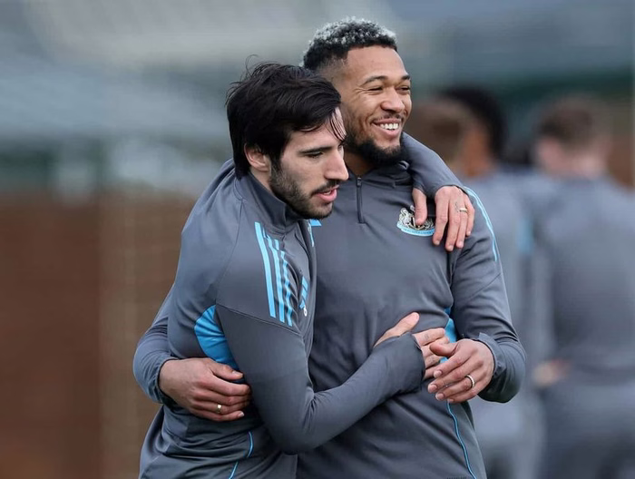 185 Millionen Pfund in 24 Stunden: Tottenham holt Tonali und Fernandes – De Zerbi baut sein Traumteam