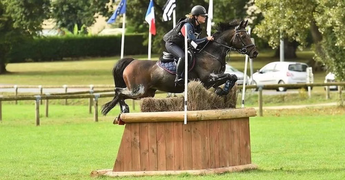 Une ponette devient championne de France 2026... et elle est née en Creuse