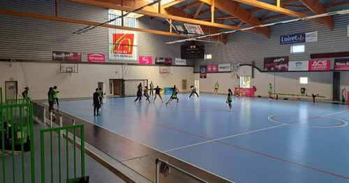 Fleury Loiret Handball : les Panthères disputeront cinq matchs au palais des sports d'Orléans cette saison
