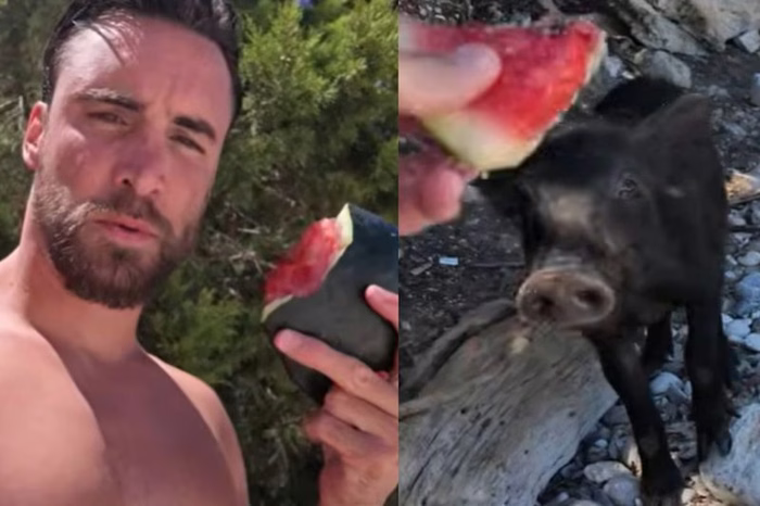 Nico Tagliafico y su pelea con un cerdo salvaje en plenas vacaciones: “No me llegó a agarrar, pero me lo pisoteó”