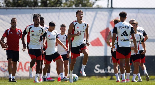 Por 35,9 milhões de euros. Amar Dedic troca o Benfica pelo Newcastle