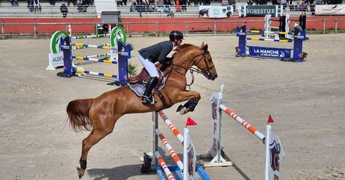 Mondiaux d'équitation : originaire de Cherbourg, Julien Épaillard parfaitement lancé dans la compétition
