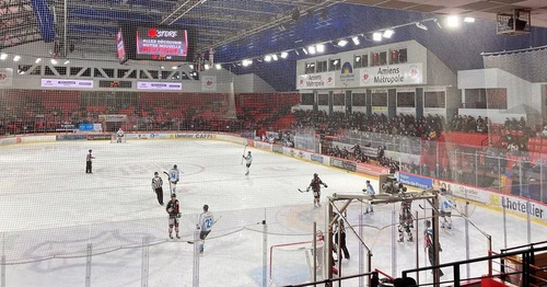 Hockey sur glace : les entrainements reprennent ce samedi pour les Gothiques d'Amiens