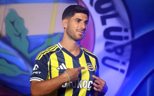 Deux forfaits pour Fenerbahçe face à l'OL