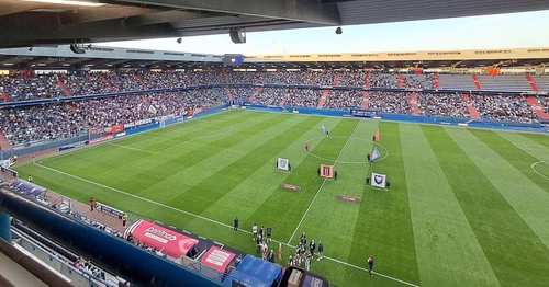 vous avec 7000 abonnés : "C'est dans notre ADN"