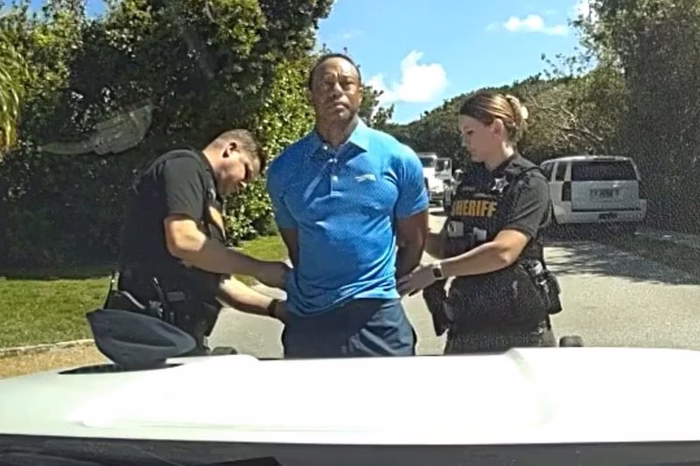 Tiger Woods se declaró culpable por un accidente automovilístico que protagonizó bajo los efectos de sustancias