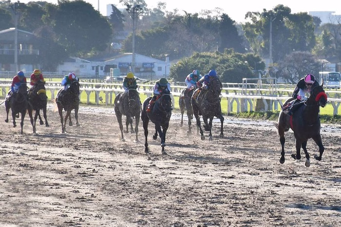 Comienza la Triple Corona en Palermo: siete potrillos y ocho potrancas en dos carreras célebres del turf
