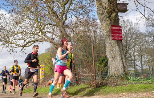 EcoTrail Paris : Pourquoi de plus en plus de coureurs « sur route » se mettent au trail ?