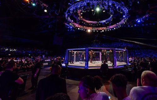 Charleville-Mézières : Un célèbre candidat de téléréalité attendu dans la cage pour un combat de MMA